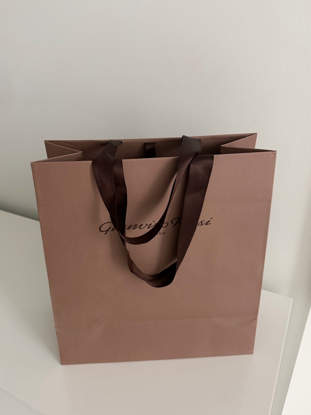 Gianvito Rossi Taupe Tote With Dark Brown Ribbon Handles